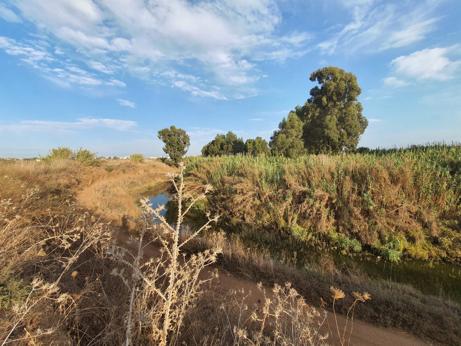 שומרים על נחל איילון: העירייה גיבשה קבוצה סביבתית לשמירה על הנחל
