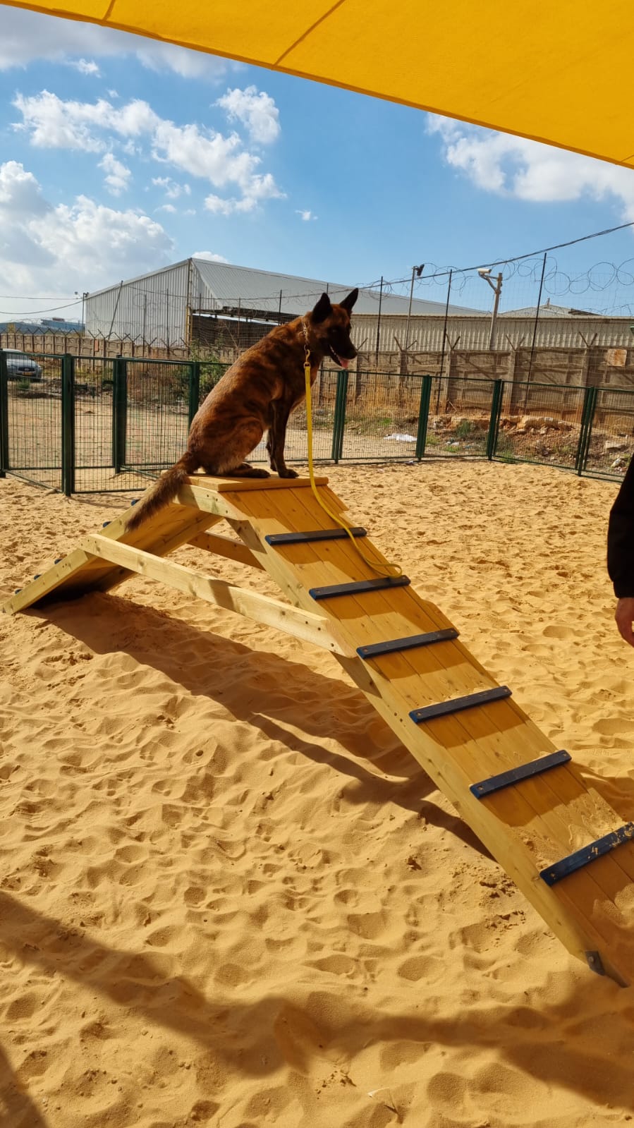 מדובר בגינת הכלבים הרביעית בעיר 