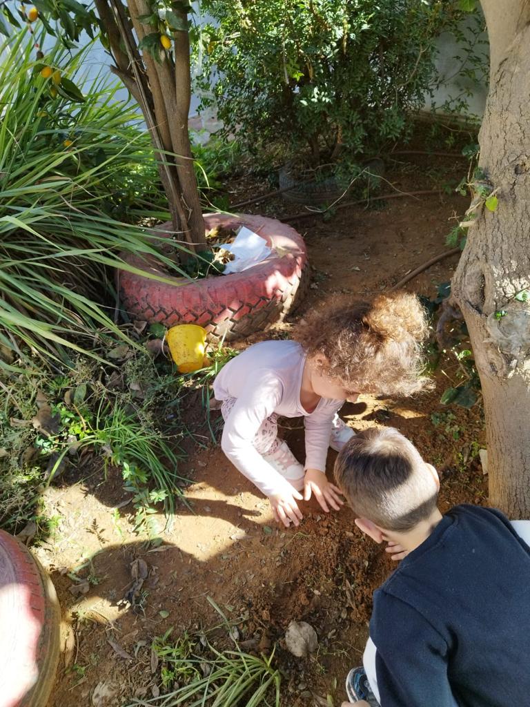 הפרויקט מתבצע זו הפעם הראשונה במטרה לייצר מסורת כך שמדי סתיו יתקיימו זריעות דומות. 