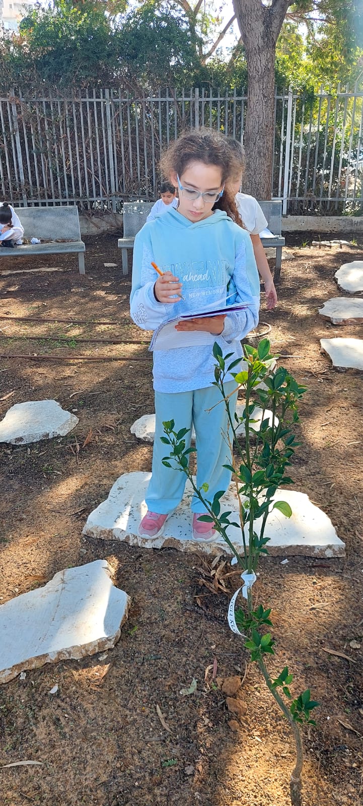 עיריית אור יהודה באמצעות היחידה הסביבתית קיבלה כ-200 עצים בתרומה מקק"ל והם ניטעו ע"י התלמידים בחצרות בתי הספר בעיר כחלק מפעילות חינוכית בט"ו בשבט. העצים ניטעו בחצרות בתי הספר בית אקשטיין, אלונים, סביונים ומדעים ויהדות בסיוע מחלקת הגינון באגף תנופ"ה.