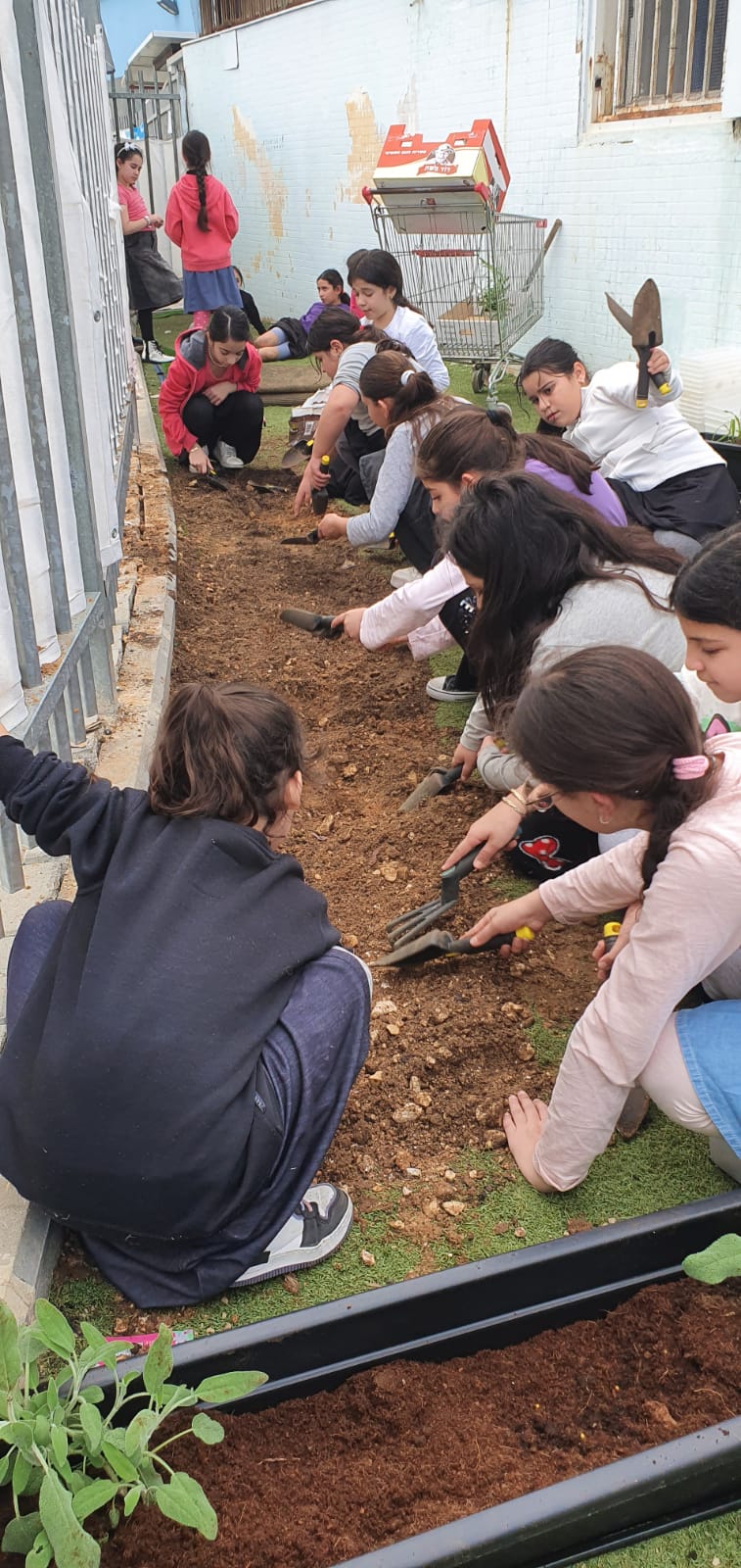 השנה יותר מתמיד הנטיעות בט"ו בשבט ברחבי הארץ קיבלו משמעות עמוקה של התחדשות ותקווה לעתיד טוב יותר כאשר בי"ס אור מנחם הקים "תינוקיית עצים" במסגרת תכנית העצים של "הרשת הירוקה" והמשרד להגנת הסביבה שבמסגרתה כל תלמיד אחראי לעץ אחד וכשהעצים יגדלו הם יועברו לנטיעה ביישובי העוטף. נוסף על כך, תלמידי בי"ס בית אקשטיין קיימו פעילות משותפת עם חניכי המע"ש, מרכז תעסוקה שיקומי לבוגרים עם מוגבלויות שכללה תחנות יצירה, הכנת מוצרי מתנה לט"ו בשבט ונטיעת עצים בחצר.