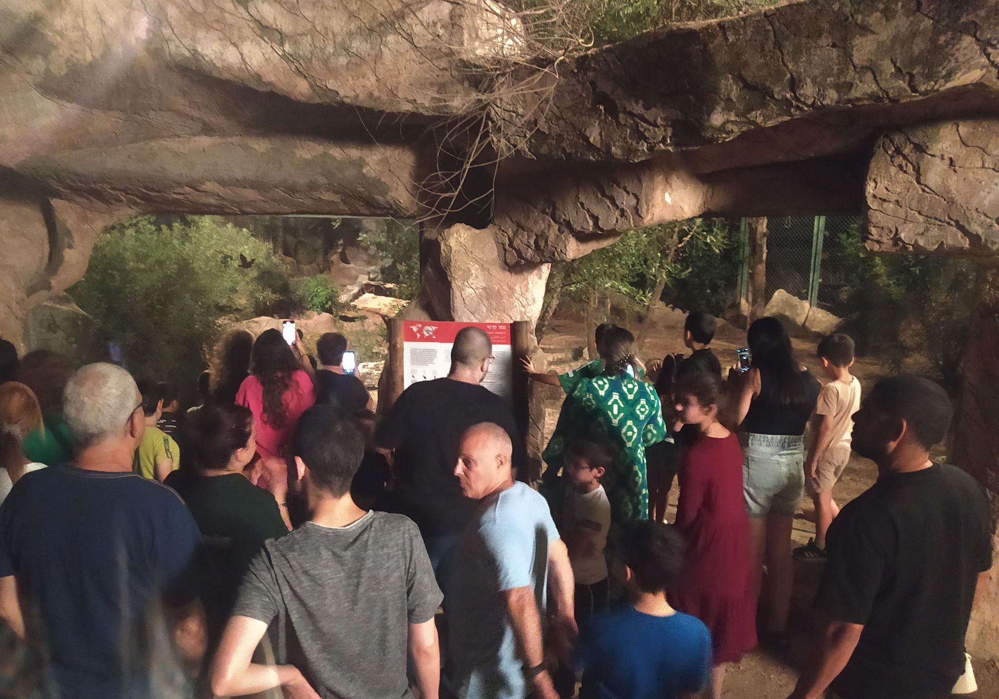 פעילות למשפחות המיוחדות באור יהודה