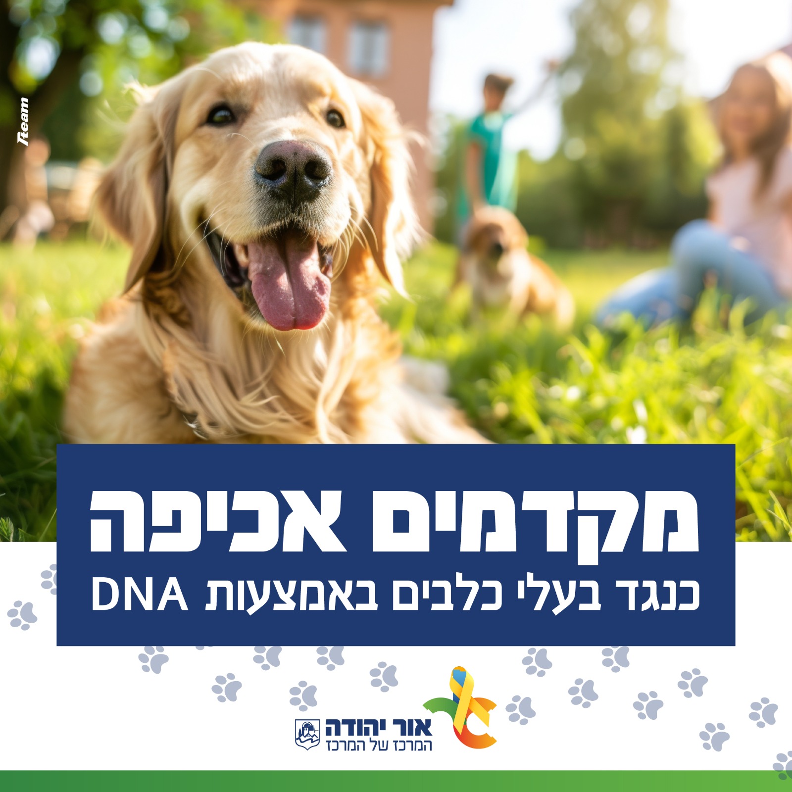 תמונה של כלב עם הכיתוב - מקדמים אכיפה כנגד בעלי כלבים באמצעות DNA