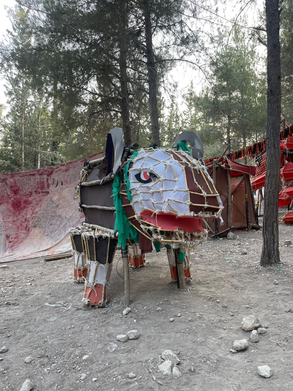 מפגן כוח במחנה הקיץ