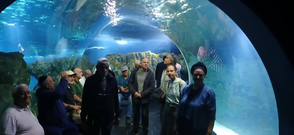 לפני מספר ימים