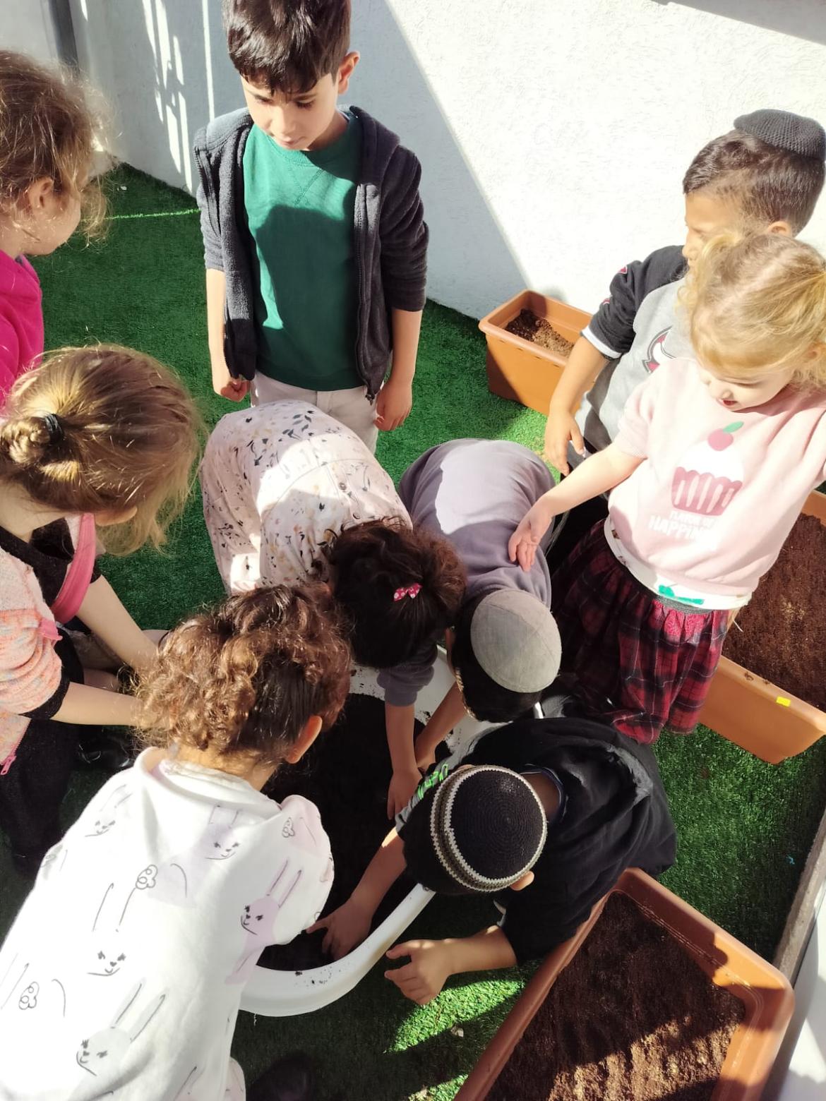 אחרי הצמיחה