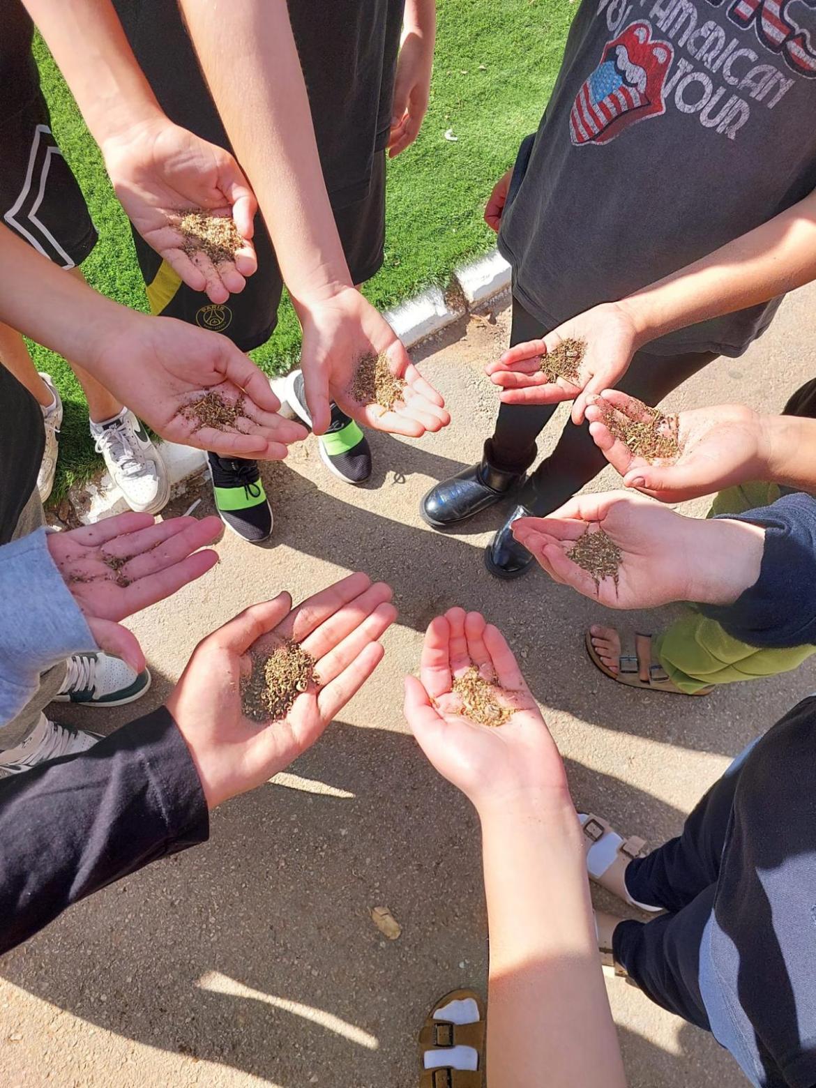 36 גני ילדים 