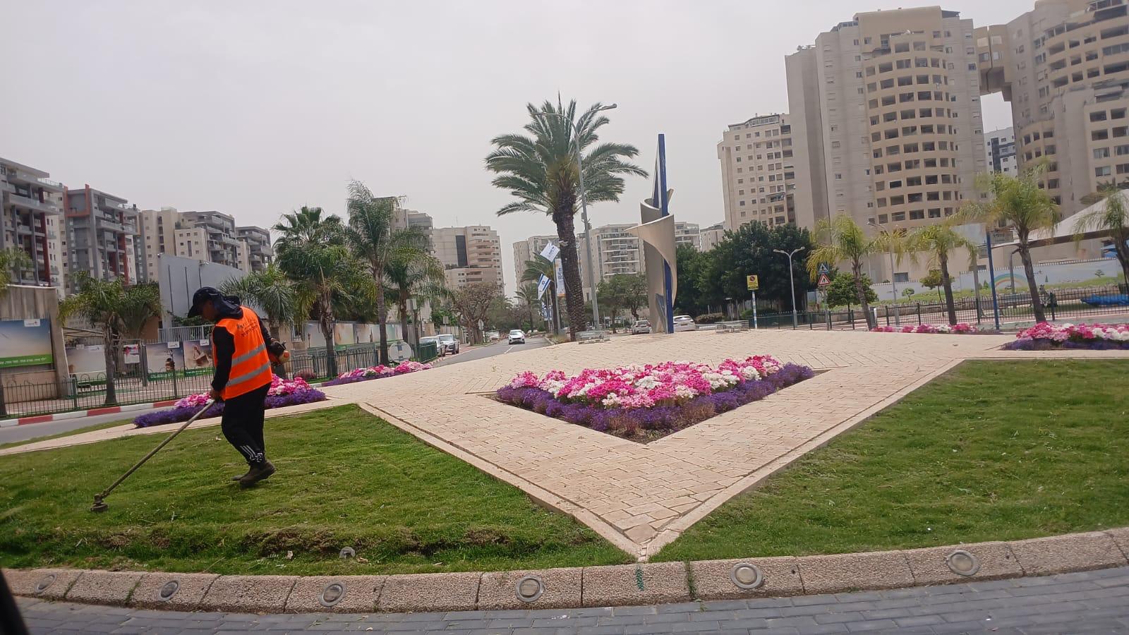 את שיתוף הפעולה 