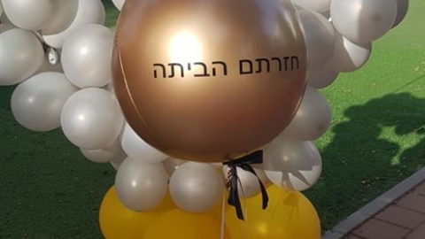 הכניסה לבית ספר סביונים2.jpg