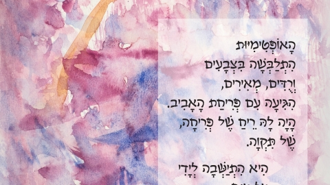 אופטימיות- ריקי גופר.jpg