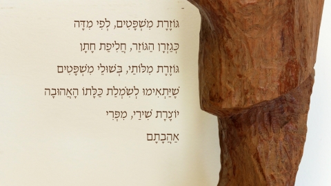 משפטים- איציק חפץ וריקי גופר.jpg