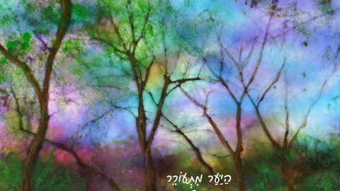 תמונת בקר- אלי שני וריקי גופר.jpg