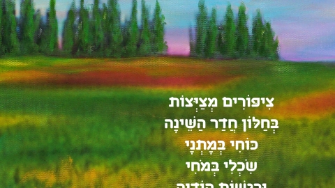 השעה היפה- אלי שני וריקי גופר.jpg