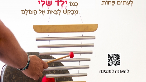 השיר שלי- דוביק גל וריקי גופר.jpg