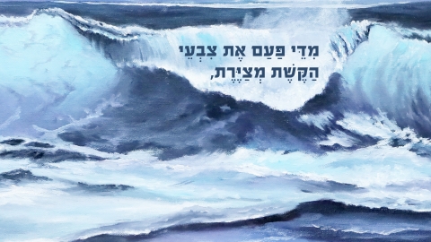תמונה- עופר גלעד וריקי גופר.jpg