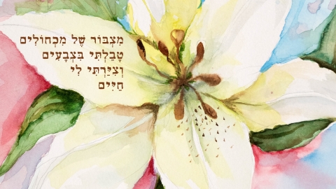 צירתי לי חיים- עידית סנדלר וריקי גופר.jpg