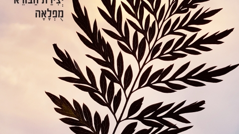 בראש ההר- רויטל שבי קורן וריקי גופר.jpg