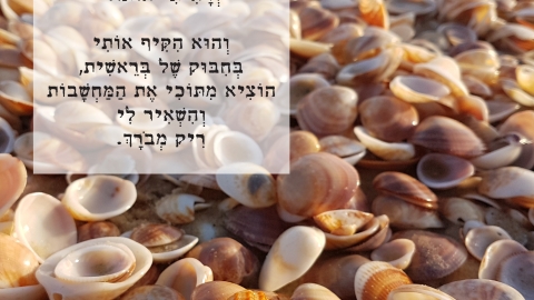 בטבע- רויטל שבי קורן וריקי גופר.jpg