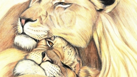 יסמין פיטוסי-אהבה חייתית.jpg