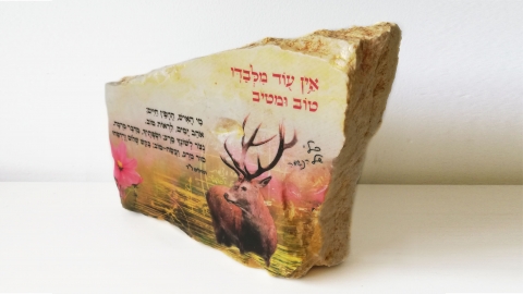 ליאנה שומלי - אייל.jpg