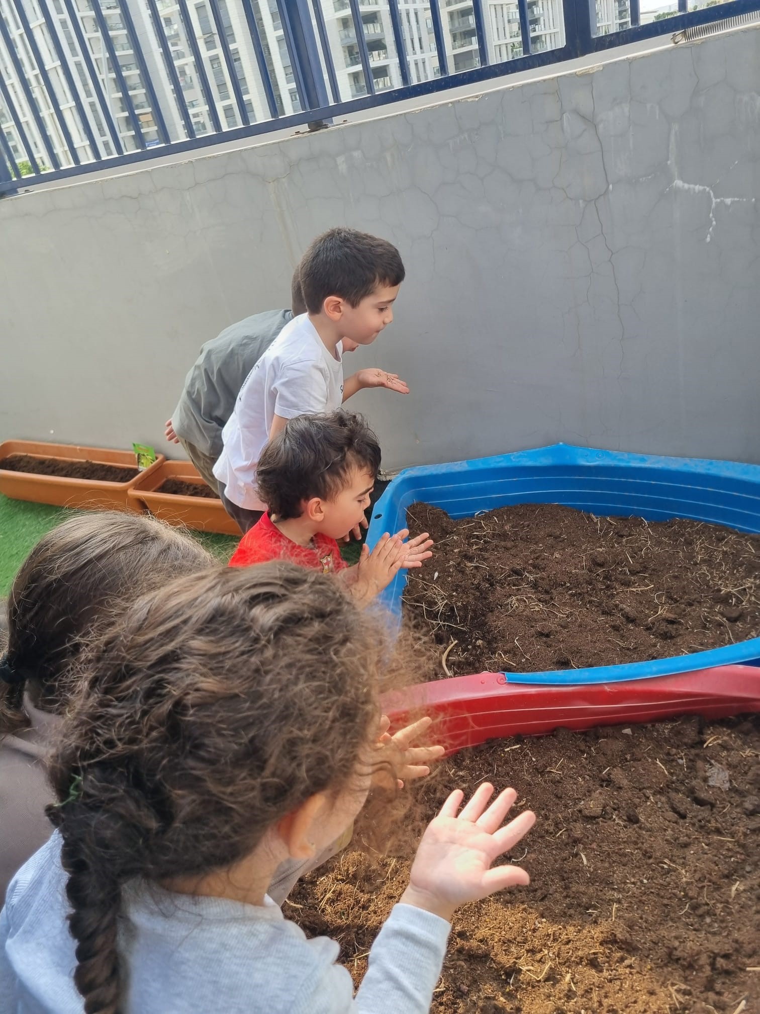 זריעת פרחי בר בגן עגור 