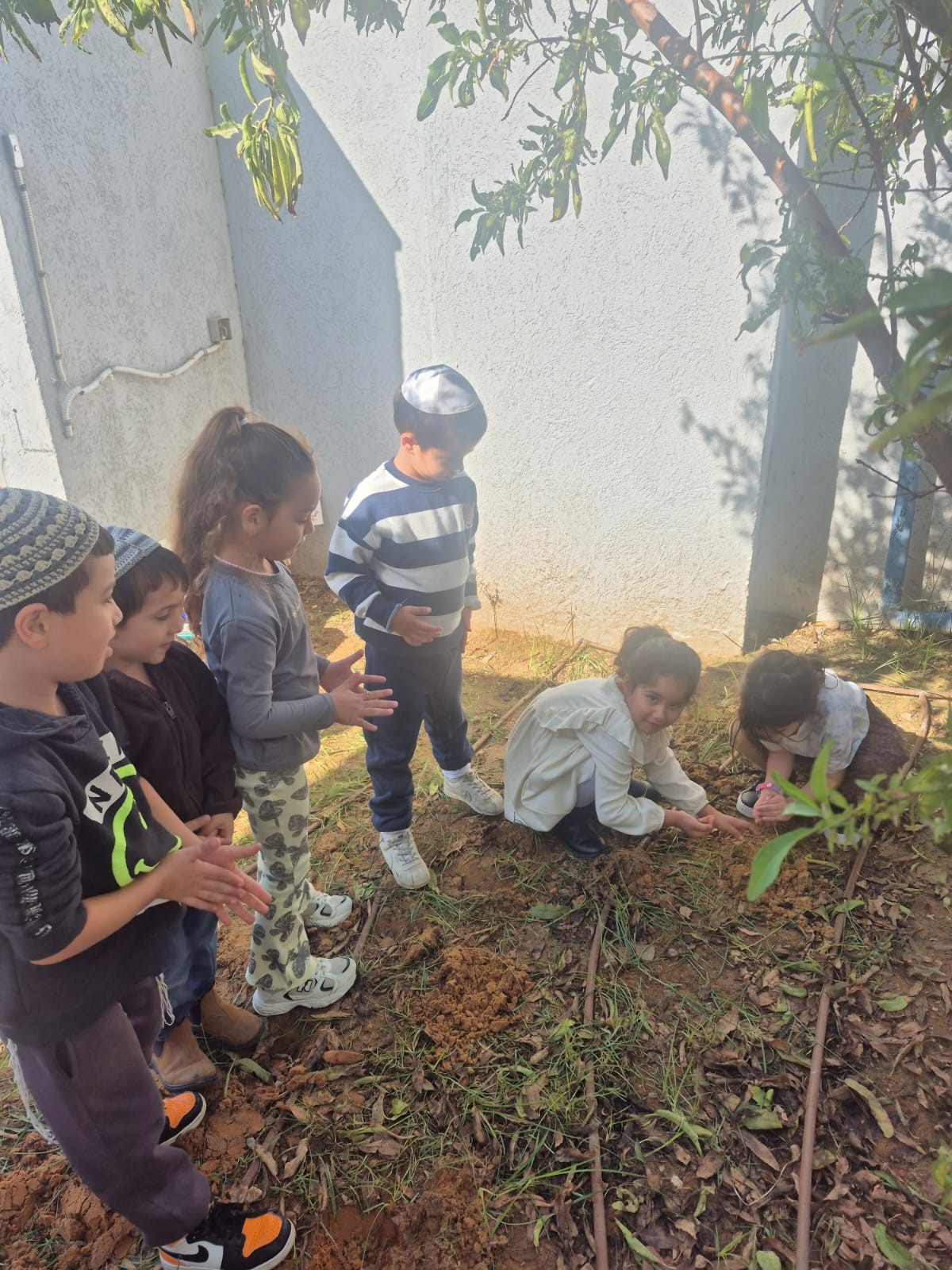 זריעה בגן חטיבה צעירה 