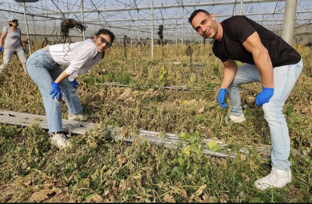 בית אקשטיין