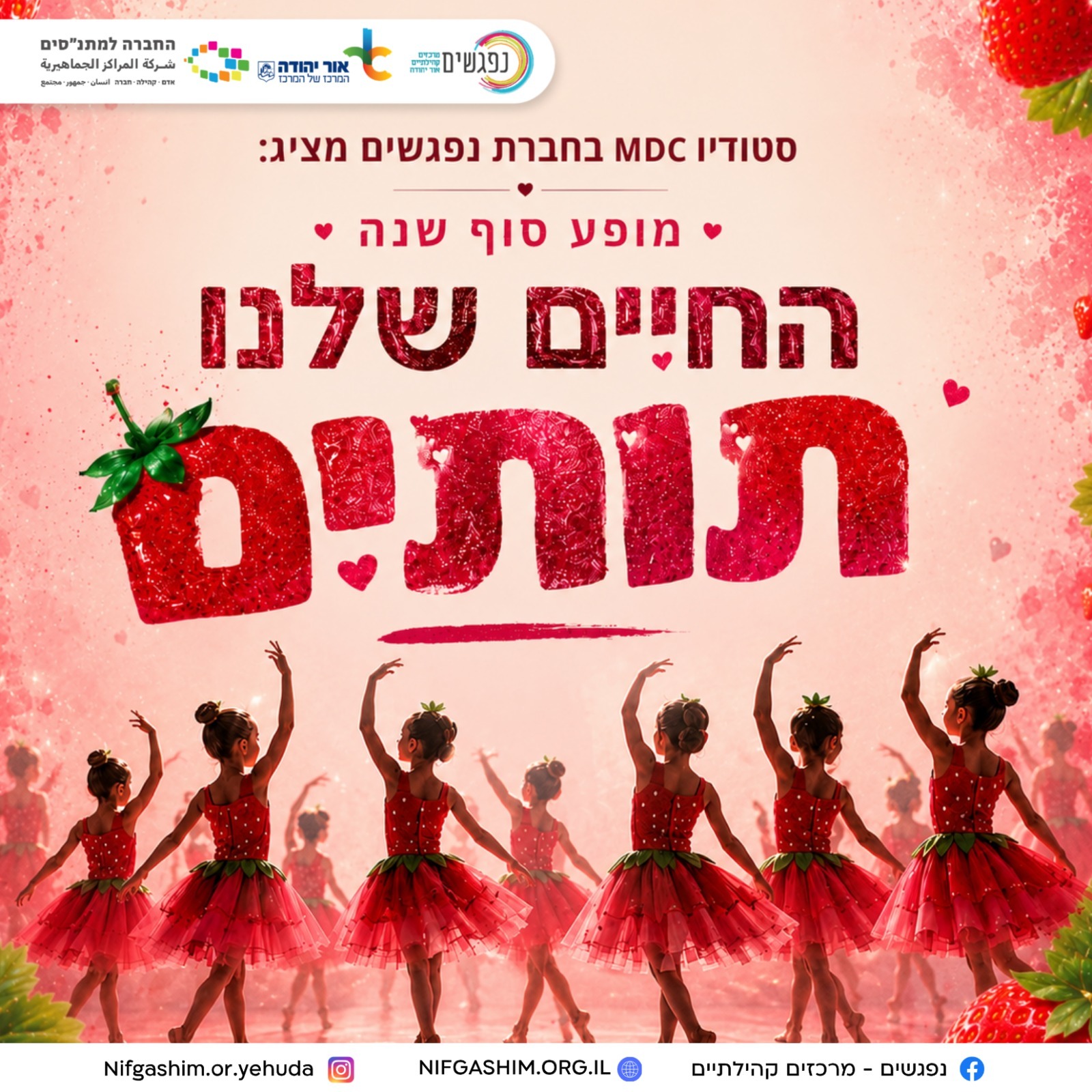 החיים שלנו תותים