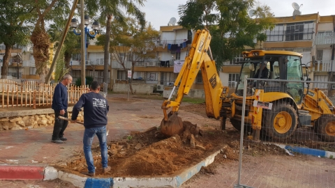 תמונת הכתבה