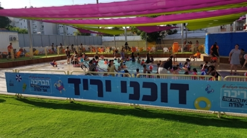 תמונת הכתבה