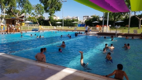 תמונת הכתבה