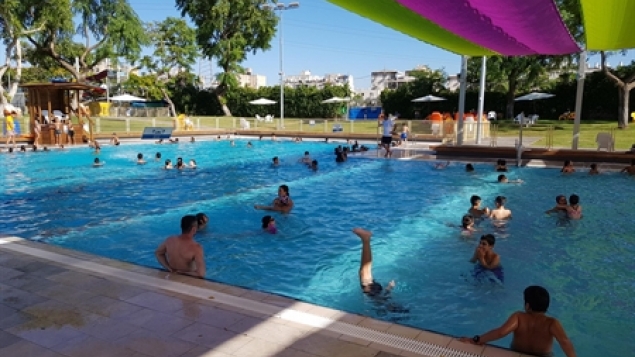 תמונת הכתבה